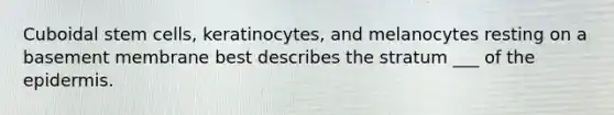 Cuboidal stem cells, keratinocytes, and melanocytes resting on a basement membrane best describes the stratum ___ of the epidermis.