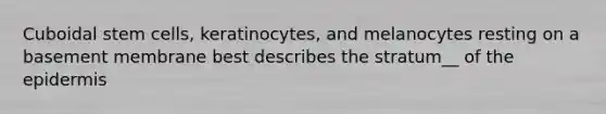 Cuboidal stem cells, keratinocytes, and melanocytes resting on a basement membrane best describes the stratum__ of <a href='https://www.questionai.com/knowledge/kBFgQMpq6s-the-epidermis' class='anchor-knowledge'>the epidermis</a>