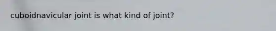 cuboidnavicular joint is what kind of joint?