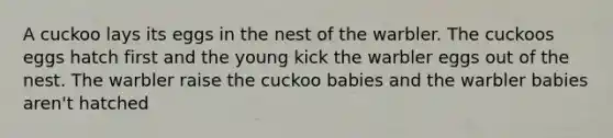 A cuckoo lays its eggs in the nest of the warbler. The cuckoos eggs hatch first and the young kick the warbler eggs out of the nest. The warbler raise the cuckoo babies and the warbler babies aren't hatched