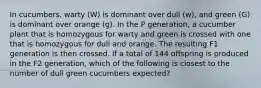 In cucumbers, warty (W) is dominant over dull (w), and green (G) is dominant over orange (g). In the P generation, a cucumber plant that is homozygous for warty and green is crossed with one that is homozygous for dull and orange. The resulting F1 generation is then crossed. If a total of 144 offspring is produced in the F2 generation, which of the following is closest to the number of dull green cucumbers expected?