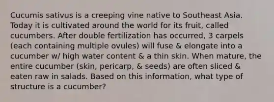 Cucumis sativus is a creeping vine native to Southeast Asia. Today it is cultivated around the world for its fruit, called cucumbers. After double fertilization has occurred, 3 carpels (each containing multiple ovules) will fuse & elongate into a cucumber w/ high water content & a thin skin. When mature, the entire cucumber (skin, pericarp, & seeds) are often sliced & eaten raw in salads. Based on this information, what type of structure is a cucumber?