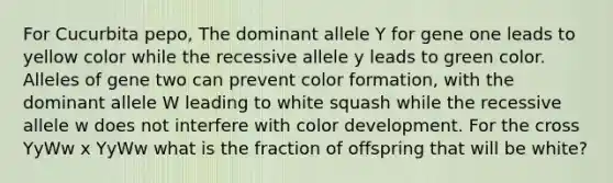 For Cucurbita pepo, The dominant allele Y for gene one leads to yellow color while the recessive allele y leads to green color. Alleles of gene two can prevent color formation, with the dominant allele W leading to white squash while the recessive allele w does not interfere with color development. For the cross YyWw x YyWw what is the fraction of offspring that will be white?