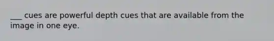 ___ cues are powerful depth cues that are available from the image in one eye.