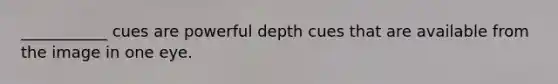 ___________ cues are powerful depth cues that are available from the image in one eye.