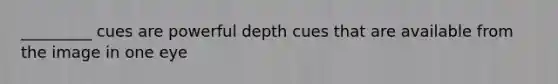 _________ cues are powerful depth cues that are available from the image in one eye