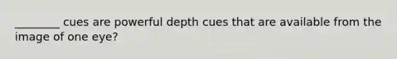 ________ cues are powerful depth cues that are available from the image of one eye?