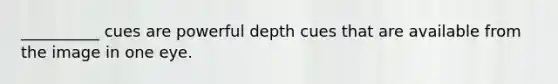 __________ cues are powerful depth cues that are available from the image in one eye.