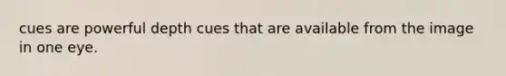 cues are powerful depth cues that are available from the image in one eye.