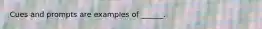 Cues and prompts are examples of ______.