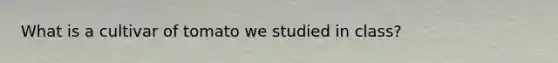 What is a cultivar of tomato we studied in class?