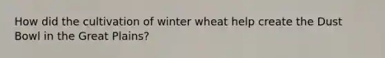 How did the cultivation of winter wheat help create the Dust Bowl in the Great Plains?