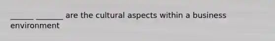 ______ _______ are the cultural aspects within a business environment