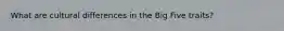 What are cultural differences in the Big Five traits?
