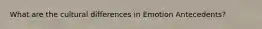 What are the cultural differences in Emotion Antecedents?