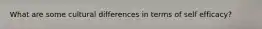 What are some cultural differences in terms of self efficacy?