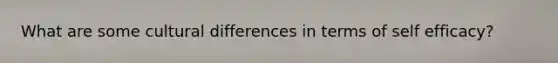 What are some cultural differences in terms of self efficacy?