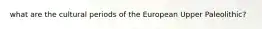 what are the cultural periods of the European Upper Paleolithic?