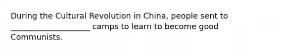 During the Cultural Revolution in China, people sent to ____________________ camps to learn to become good Communists.