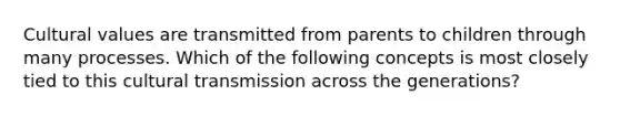 Cultural values are transmitted from parents to children through many processes. Which of the following concepts is most closely tied to this cultural transmission across the generations?