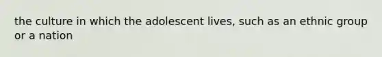 the culture in which the adolescent lives, such as an ethnic group or a nation