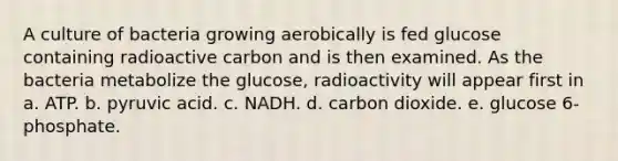 A culture of bacteria growing aerobically is fed glucose containing radioactive carbon and is then examined. As the bacteria metabolize the glucose, radioactivity will appear first in a. ATP. b. pyruvic acid. c. NADH. d. carbon dioxide. e. glucose 6-phosphate.