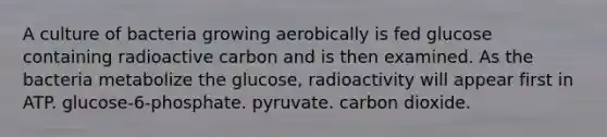 A culture of bacteria growing aerobically is fed glucose containing radioactive carbon and is then examined. As the bacteria metabolize the glucose, radioactivity will appear first in ATP. glucose-6-phosphate. pyruvate. carbon dioxide.