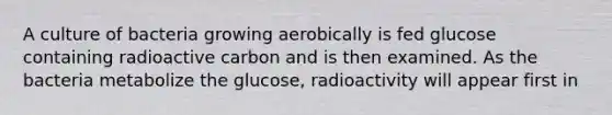 A culture of bacteria growing aerobically is fed glucose containing radioactive carbon and is then examined. As the bacteria metabolize the glucose, radioactivity will appear first in