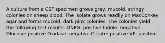 A culture from a CSF specimen grows gray, mucoid, stringy colonies on sheep blood. The isolate grows readily on MacConkey agar and forms mucoid, dark pink colonies. The colonies yield the following test results: ONPG: positive Indole: negative Glucose: positive Oxidase: negative Citrate: positive VP: positive