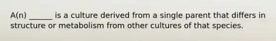 A(n) ______ is a culture derived from a single parent that differs in structure or metabolism from other cultures of that species.