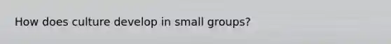 How does culture develop in small groups?