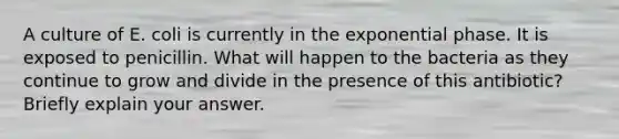 A culture of E. coli is currently in the exponential phase. It is exposed to penicillin. What will happen to the bacteria as they continue to grow and divide in the presence of this antibiotic? Briefly explain your answer.