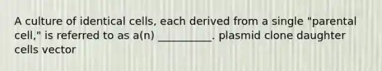 A culture of identical cells, each derived from a single "parental cell," is referred to as a(n) __________. plasmid clone daughter cells vector