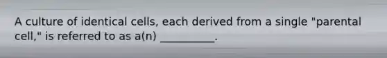 A culture of identical cells, each derived from a single "parental cell," is referred to as a(n) __________.