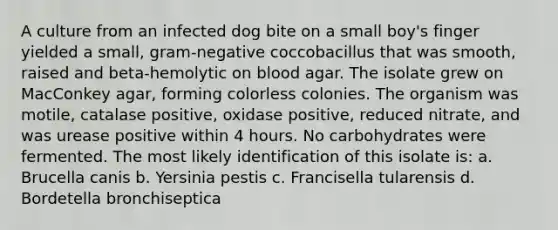 A culture from an infected dog bite on a small boy's finger yielded a small, gram-negative coccobacillus that was smooth, raised and beta-hemolytic on blood agar. The isolate grew on MacConkey agar, forming colorless colonies. The organism was motile, catalase positive, oxidase positive, reduced nitrate, and was urease positive within 4 hours. No carbohydrates were fermented. The most likely identification of this isolate is: a. Brucella canis b. Yersinia pestis c. Francisella tularensis d. Bordetella bronchiseptica