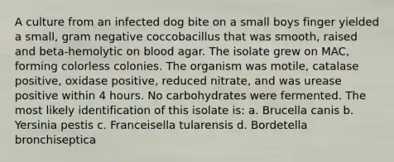 A culture from an infected dog bite on a small boys finger yielded a small, gram negative coccobacillus that was smooth, raised and beta-hemolytic on blood agar. The isolate grew on MAC, forming colorless colonies. The organism was motile, catalase positive, oxidase positive, reduced nitrate, and was urease positive within 4 hours. No carbohydrates were fermented. The most likely identification of this isolate is: a. Brucella canis b. Yersinia pestis c. Franceisella tularensis d. Bordetella bronchiseptica