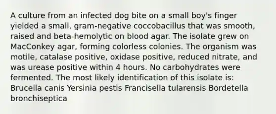 A culture from an infected dog bite on a small boy's finger yielded a small, gram-negative coccobacillus that was smooth, raised and beta-hemolytic on blood agar. The isolate grew on MacConkey agar, forming colorless colonies. The organism was motile, catalase positive, oxidase positive, reduced nitrate, and was urease positive within 4 hours. No carbohydrates were fermented. The most likely identification of this isolate is: Brucella canis Yersinia pestis Francisella tularensis Bordetella bronchiseptica