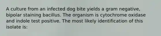 A culture from an infected dog bite yields a gram negative, bipolar staining bacillus. The organism is cytochrome oxidase and indole test positive. The most likely identification of this isolate is: