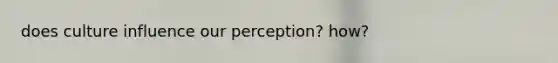 does culture influence our perception? how?