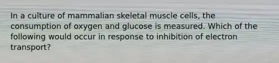 In a culture of mammalian skeletal muscle cells, the consumption of oxygen and glucose is measured. Which of the following would occur in response to inhibition of electron transport?