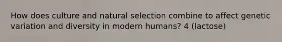 How does culture and natural selection combine to affect genetic variation and diversity in modern humans? 4 (lactose)