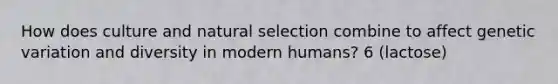 How does culture and natural selection combine to affect genetic variation and diversity in modern humans? 6 (lactose)