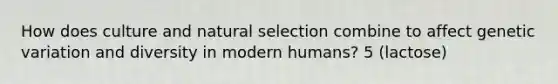 How does culture and natural selection combine to affect genetic variation and diversity in modern humans? 5 (lactose)