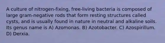 A culture of nitrogen-fixing, free-living bacteria is composed of large gram-negative rods that form resting structures called cysts, and is usually found in nature in neutral and alkaline soils. Its genus name is A) Azomonas. B) Azotobacter. C) Azospirillum. D) Derxia.