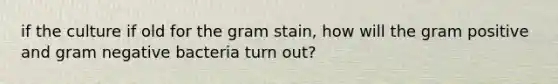 if the culture if old for the gram stain, how will the gram positive and gram negative bacteria turn out?