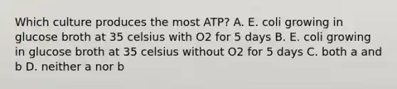 Which culture produces the most ATP? A. E. coli growing in glucose broth at 35 celsius with O2 for 5 days B. E. coli growing in glucose broth at 35 celsius without O2 for 5 days C. both a and b D. neither a nor b