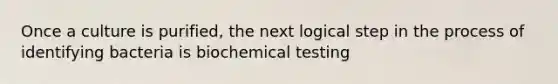 Once a culture is purified, the next logical step in the process of identifying bacteria is biochemical testing