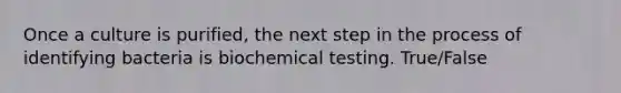 Once a culture is purified, the next step in the process of identifying bacteria is biochemical testing. True/False