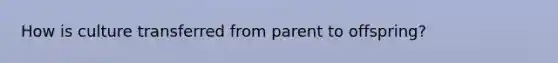 How is culture transferred from parent to offspring?