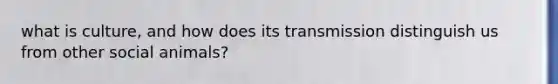 what is culture, and how does its transmission distinguish us from other social animals?